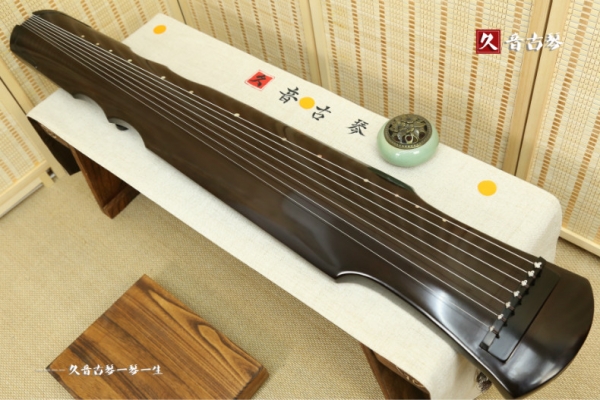 迪庆藏族自治州初级演奏古琴【伏羲式】