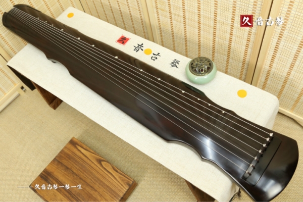 迪庆藏族自治州初级演奏古琴【灵机式】