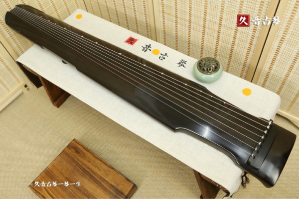 迪庆藏族自治州初级演奏古琴【仲尼式】